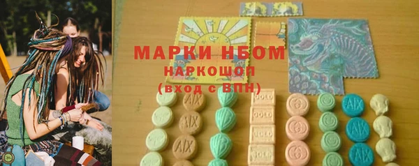 стафф Арсеньев