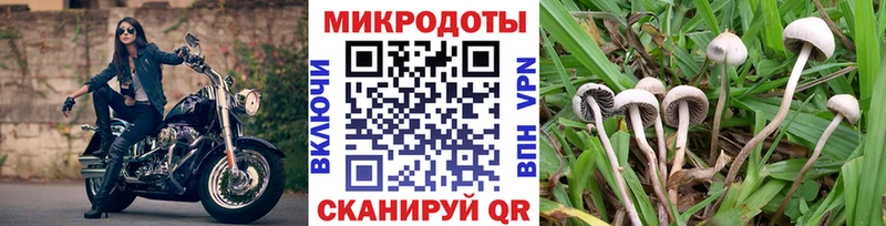 где найти наркотики  Курган  Псилоцибиновые грибы прущие грибы 